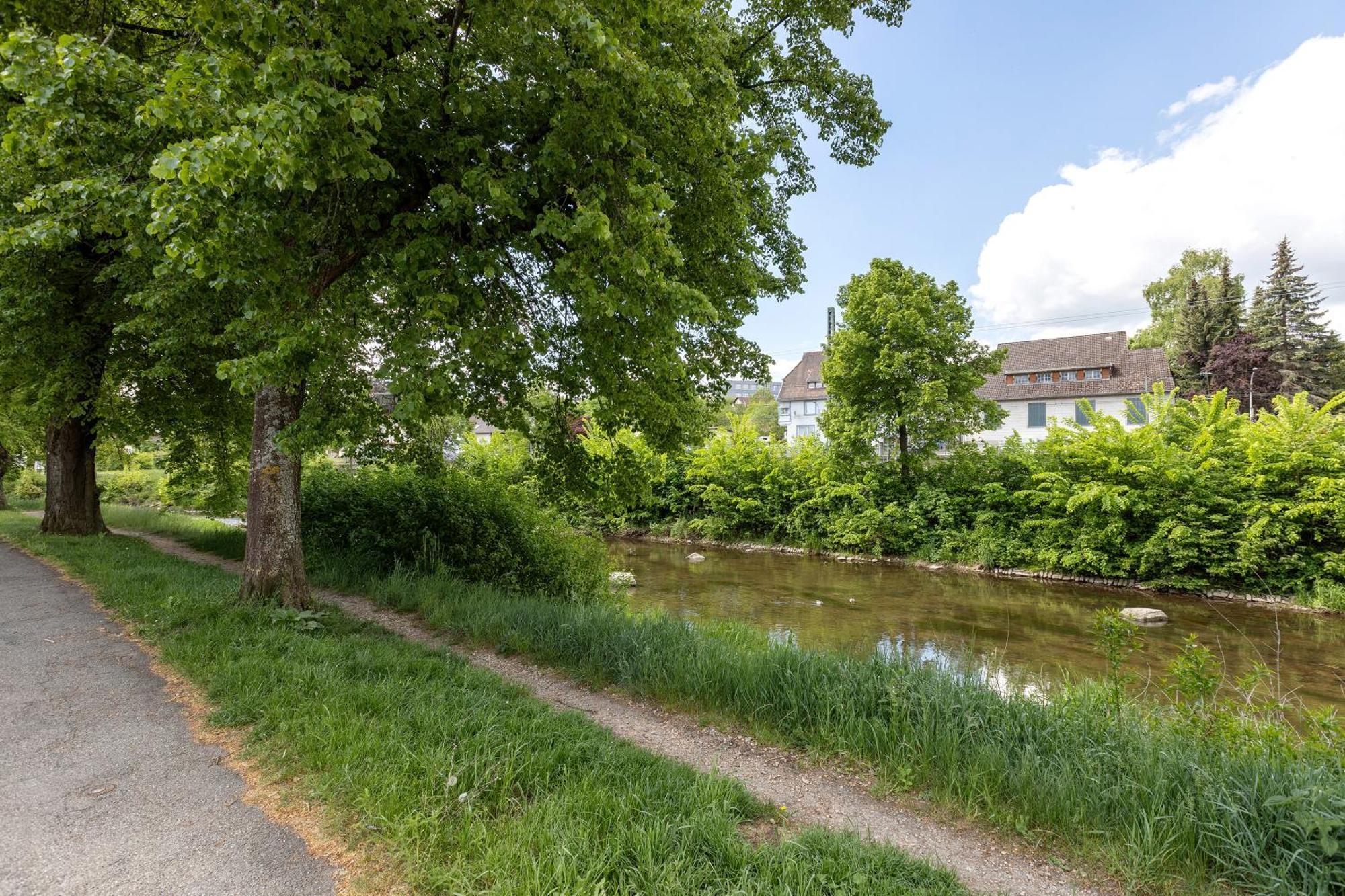 Ferienwohnung An Der Brigach Donaueschingen Exterior foto